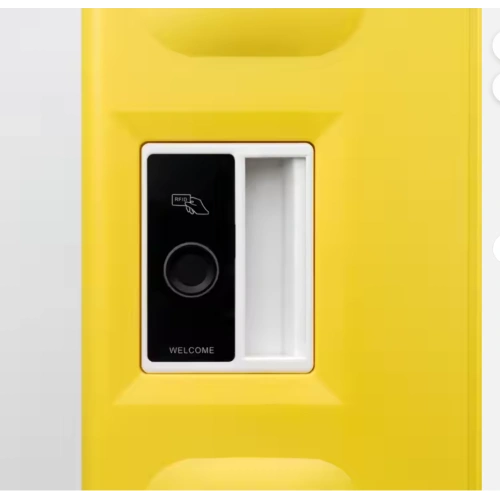 theft green public storage locker